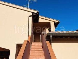 appartamento in vendita a Scarlino