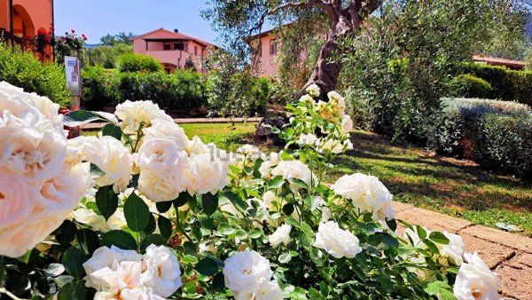 appartamento in vendita a Scarlino in zona Puntone