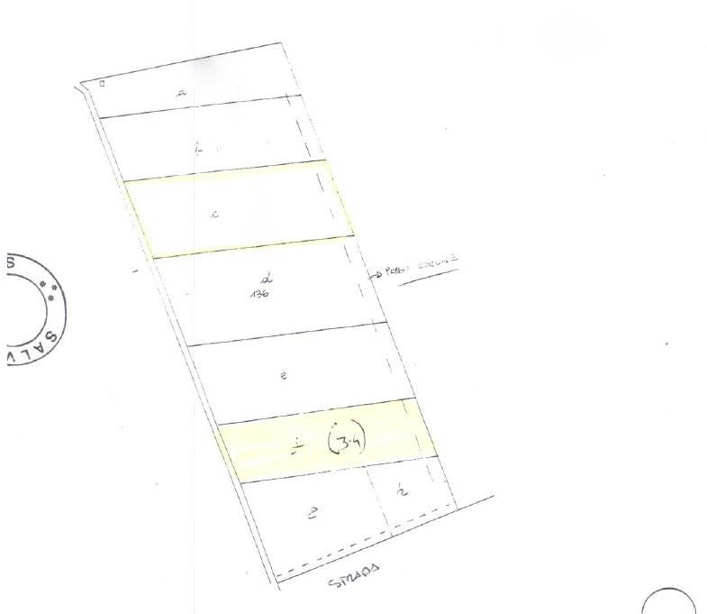 terreno agricolo in vendita a Scarlino in zona Scarlino Scalo