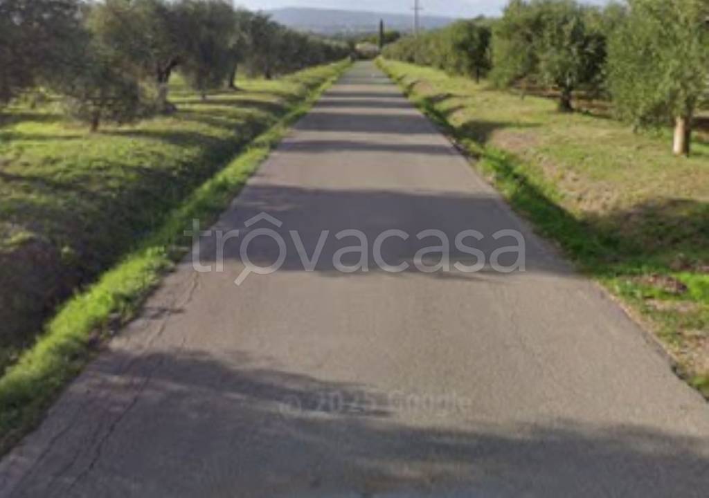 terreno edificabile in vendita a Scarlino