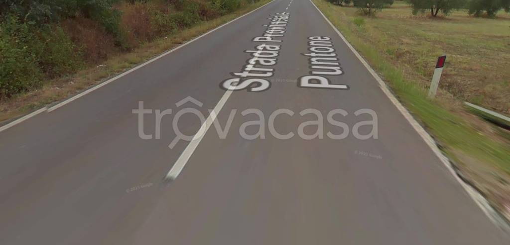 terreno edificabile in vendita a Scarlino