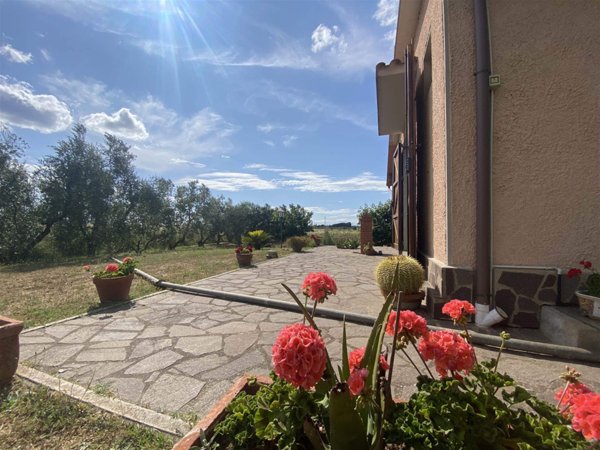 terreno agricolo in vendita a Scarlino in zona Puntone