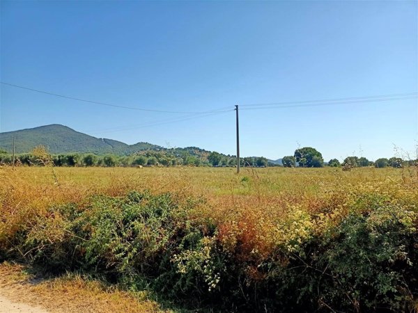 terreno agricolo in vendita a Scarlino in zona Le Case