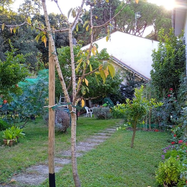 casa indipendente in vendita a Scarlino in zona Puntone