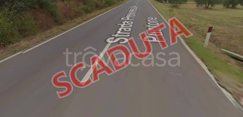 terreno edificabile in vendita a Scarlino