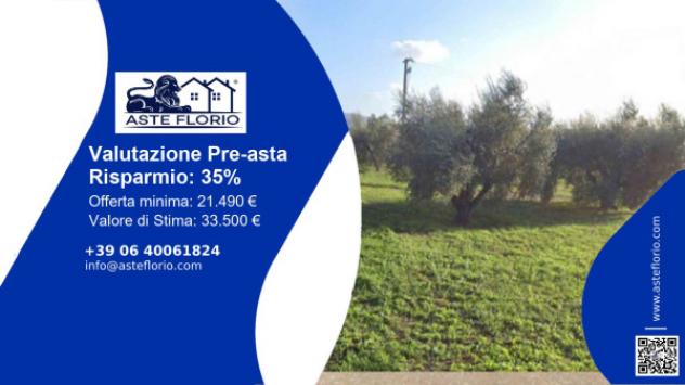 terreno agricolo in vendita a Scarlino in zona Scarlino Scalo