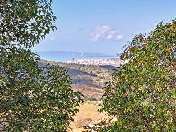 casa indipendente in vendita a Scarlino