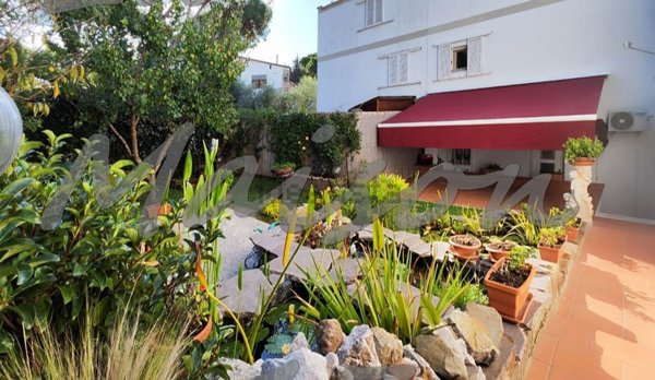 casa indipendente in vendita a Scarlino