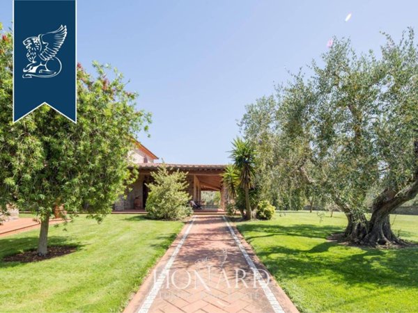 negozio in vendita a Scarlino