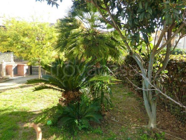 casa indipendente in vendita a Scarlino in zona Scarlino Scalo