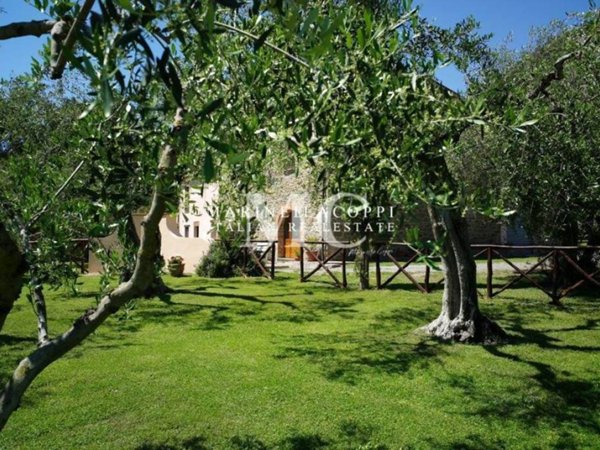 casa indipendente in vendita a Scarlino