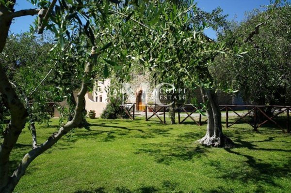 casa indipendente in vendita a Scarlino