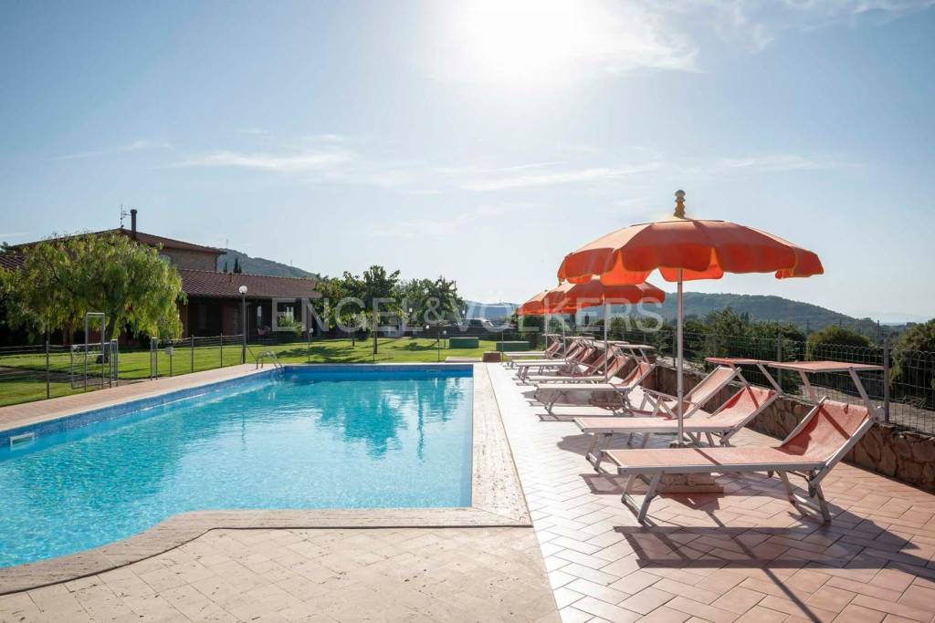 immagine annuncio 0 di 15