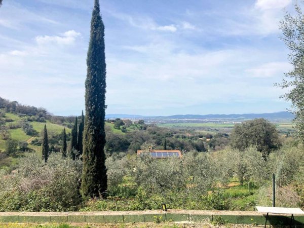 casa indipendente in vendita a Scarlino