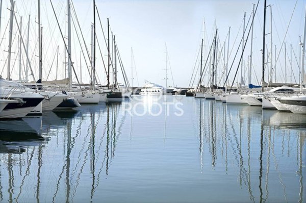 appartamento in vendita a Scarlino in zona Puntone