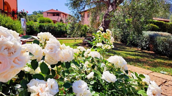 appartamento in vendita a Scarlino in zona Puntone