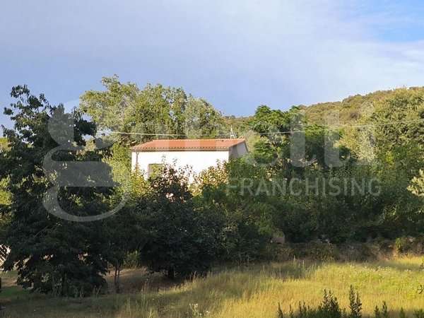 casa indipendente in vendita a Scarlino in zona Puntone