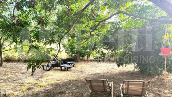 casa indipendente in vendita a Scarlino in zona Puntone