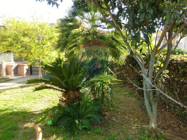 casa indipendente in vendita a Scarlino in zona Scarlino Scalo