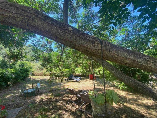 appartamento in vendita a Scarlino