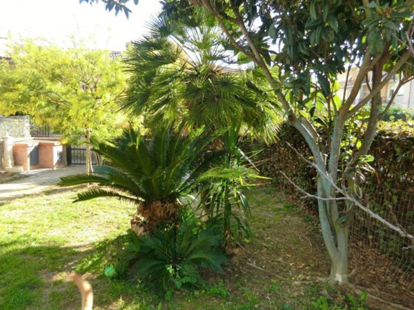 casa indipendente in vendita a Scarlino in zona Scarlino Scalo