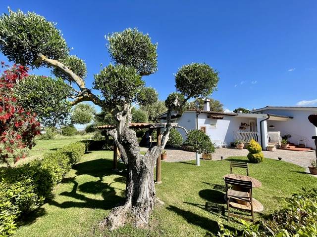 casa indipendente in vendita a Scarlino in zona Puntone