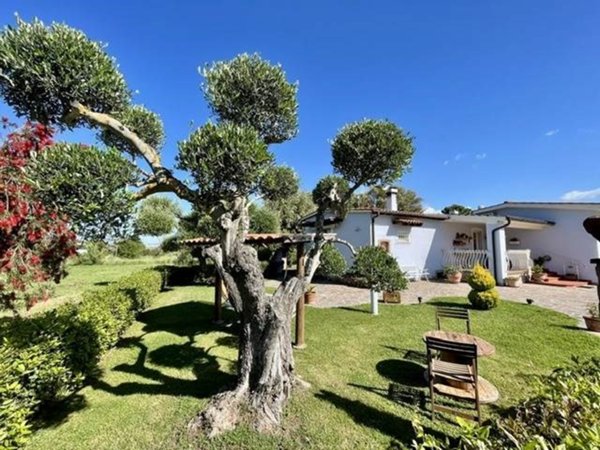 casa indipendente in vendita a Scarlino in zona Puntone