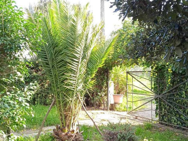 casa indipendente in vendita a Scarlino in zona Le Case