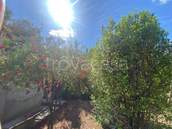 casa indipendente in vendita a Scarlino in zona Puntone