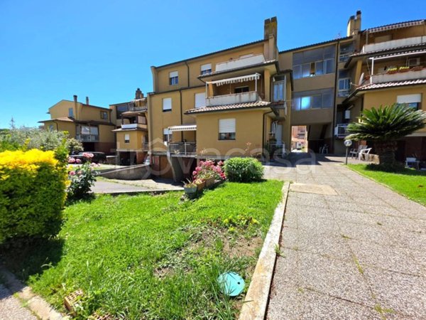 appartamento in vendita a Scarlino in zona Scarlino Scalo
