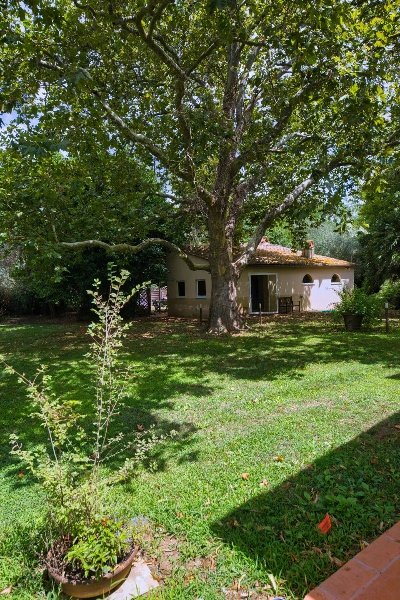 casa indipendente in vendita a Scarlino in zona Le Case
