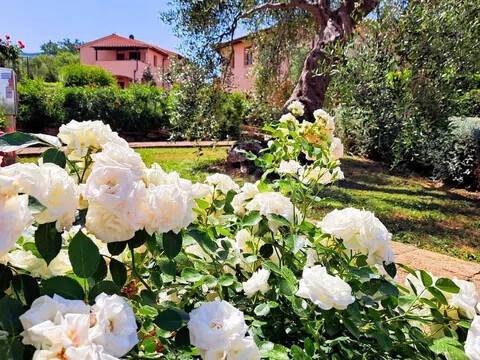 appartamento in vendita a Scarlino in zona Puntone