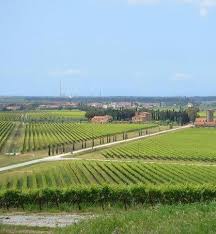 appartamento in vendita a Scarlino in zona Scarlino Scalo