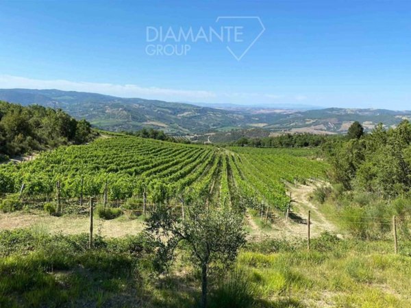 negozio in vendita a Seggiano