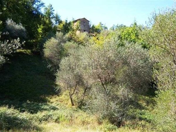 appartamento in vendita a Seggiano
