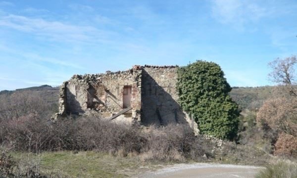 negozio in vendita a Seggiano