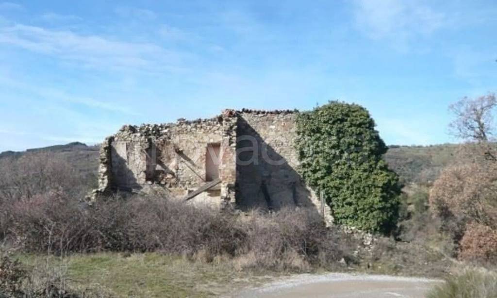 casa indipendente in vendita a Seggiano