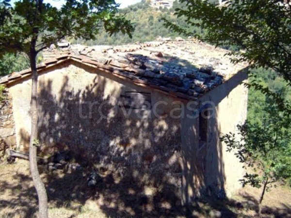 casa indipendente in vendita a Seggiano