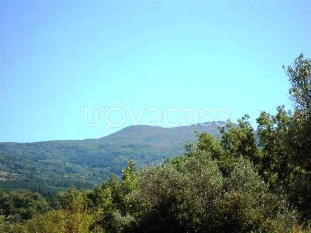 appartamento in vendita a Seggiano
