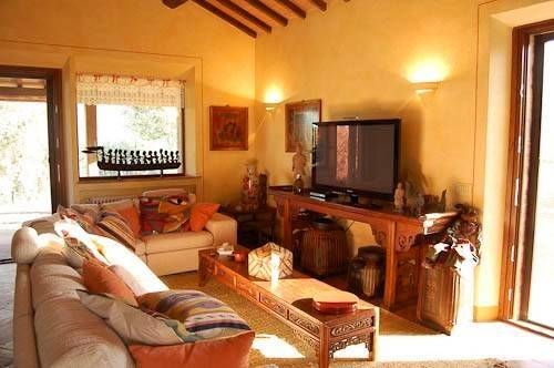 casa indipendente in vendita a Seggiano