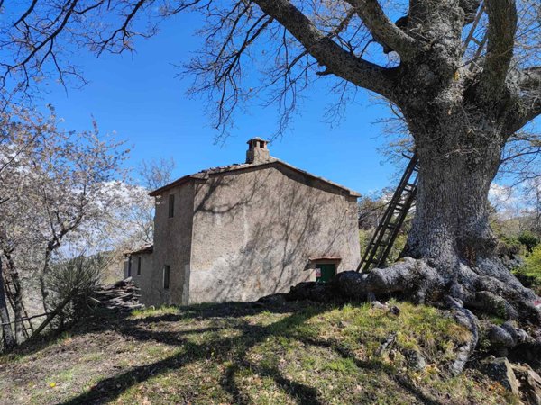 casa indipendente in vendita a Seggiano
