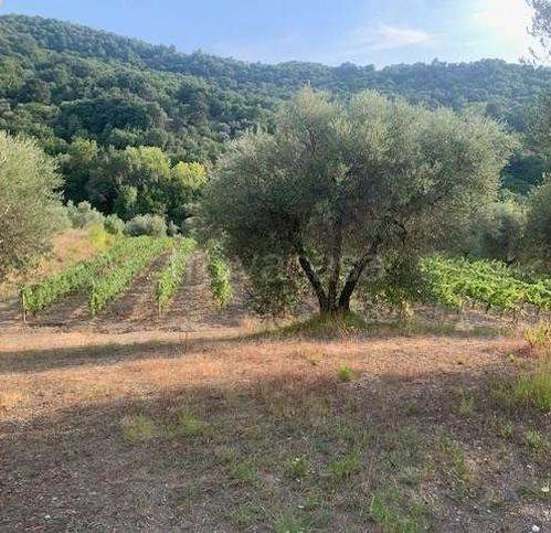terreno agricolo in vendita a Seggiano