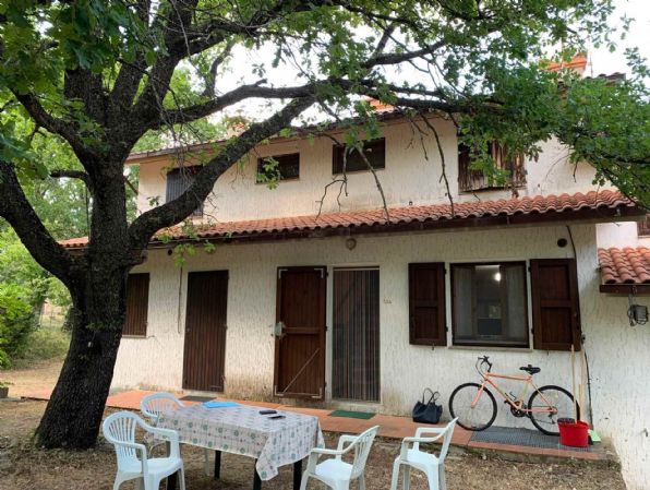 casa indipendente in vendita a Seggiano