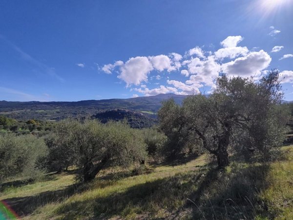 rudere in vendita a Seggiano