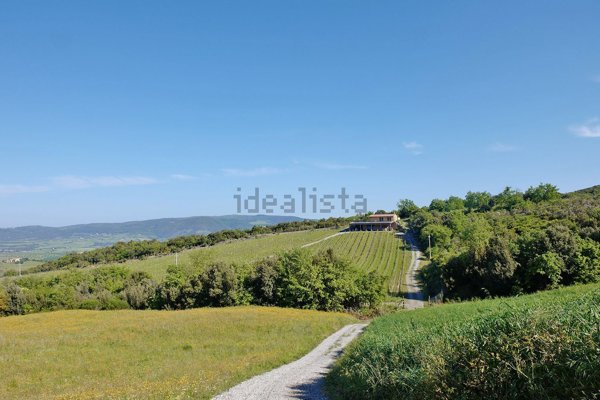 pentavano in vendita a Seggiano