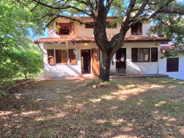 casa indipendente in vendita a Seggiano