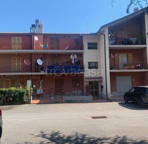 appartamento in vendita a Seggiano