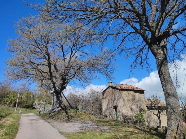 casale in vendita a Seggiano