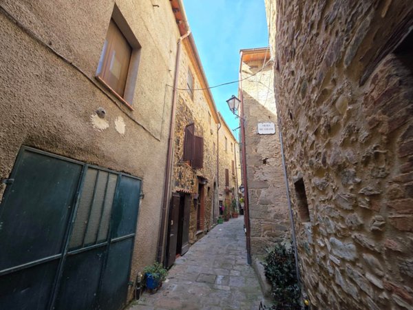 casa indipendente in vendita a Seggiano