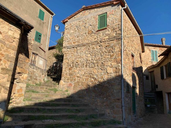 casa indipendente in vendita a Seggiano